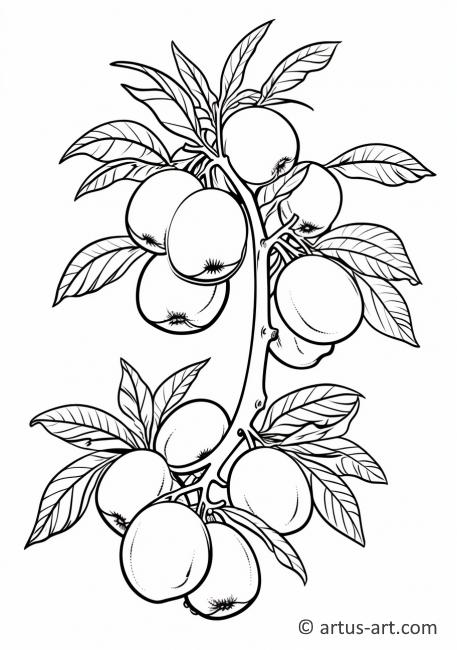 Nectarine Tree Coloring Page